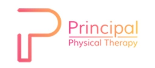 15388 Rehab CEOs Logo -01